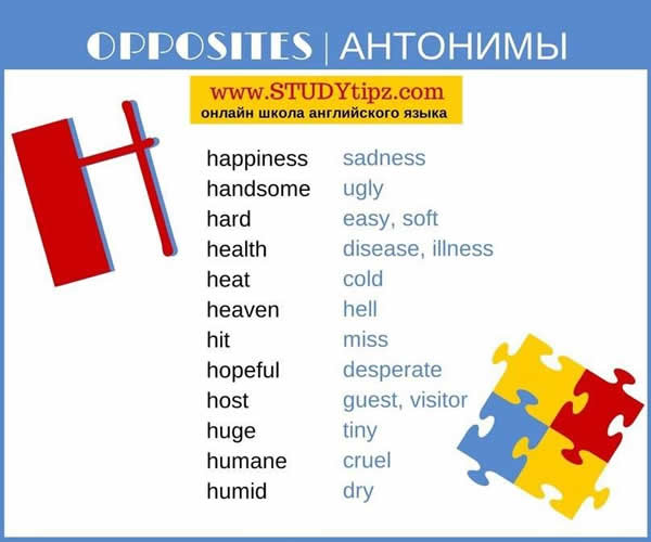 detailed-opposite-list-8