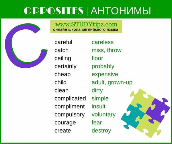 detailed-opposite-list-9
