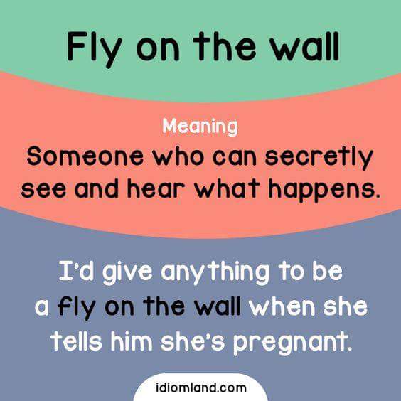 english-idioms-8