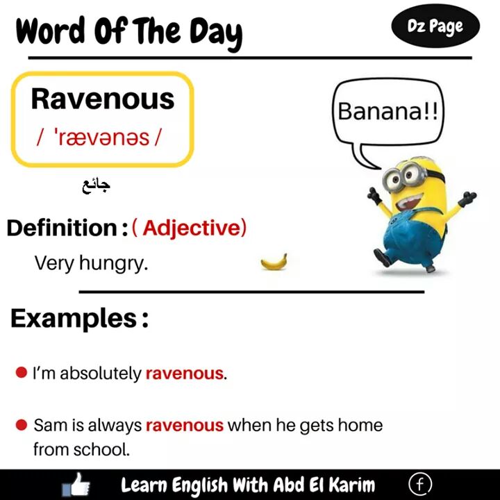 english-vocabulary-12