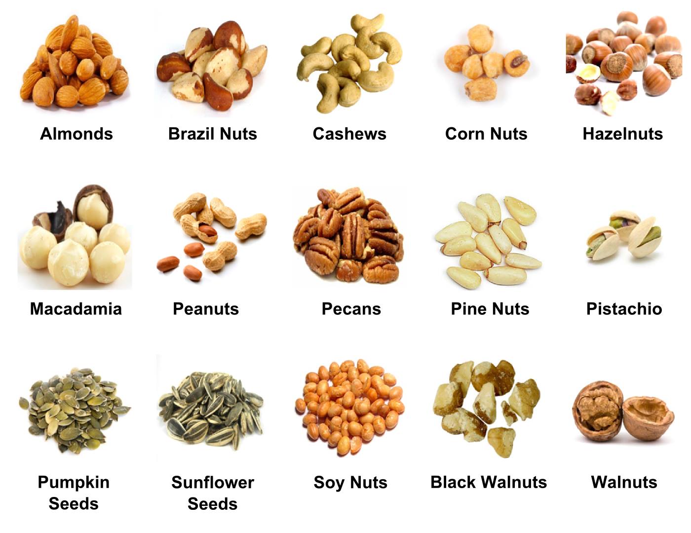 nuts-vocabulary-materials-for-learning-english