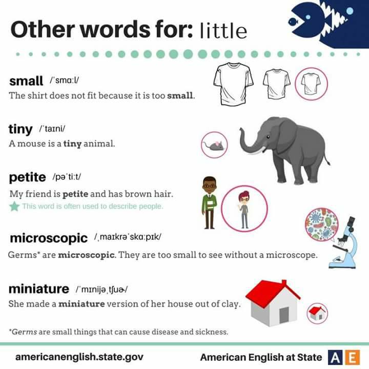 Other Words For LITTLE Materials For Learning English