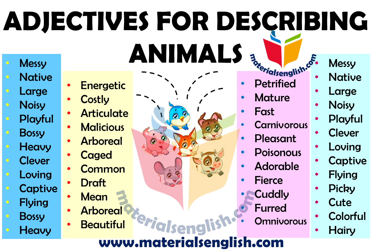 adjectives-for-describing-animals-materials-for-learning-english