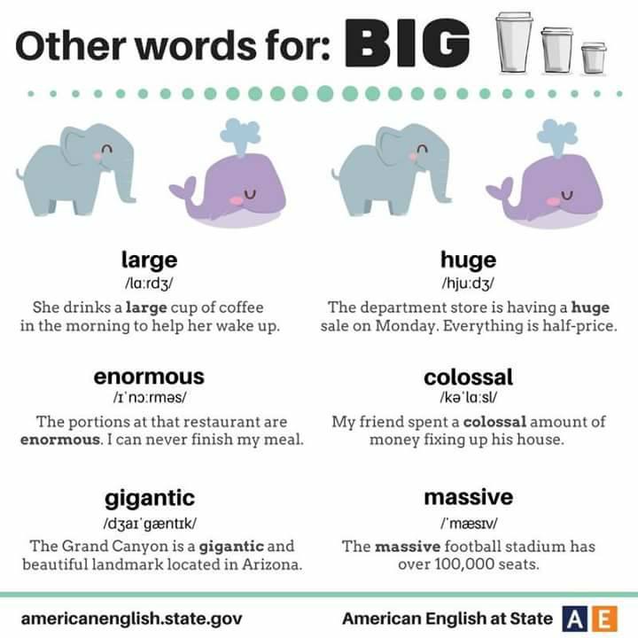 synonyms words for big TalithaMyla