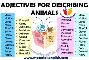 Adjectives For Describing Animals – Materials For Learning English